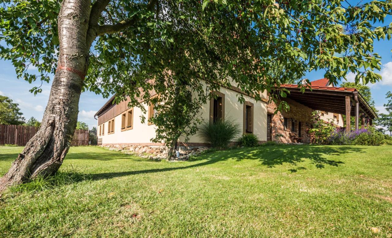Penzion U Lisky Jarosov nad Nezarkou Bagian luar foto
